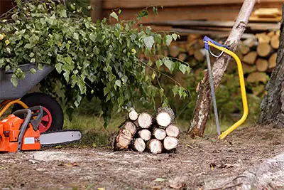 Tree Removal Hendersonville, NC