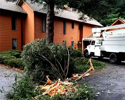 Bucket/Crane Work, Hendersonville, NC