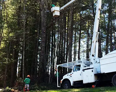 Bucket/Crane Work, Hendersonville, NC