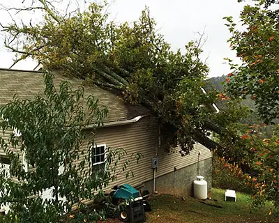 Storm Damage/Emergency Service