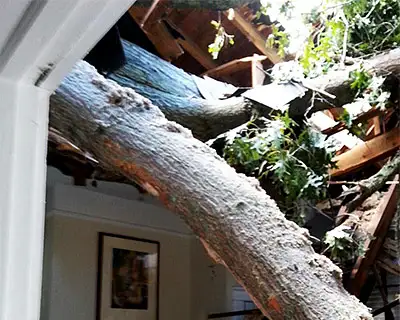 Storm Damage/Emergency Service