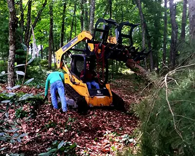 Tree Stump Grinding, Hendersonville, NC