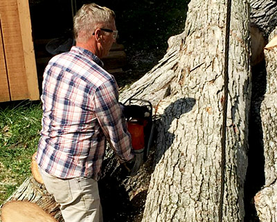 Tree Stump Grinding