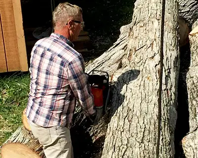 Tree Stump Grinding, Hendersonville, NC