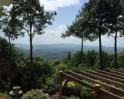 Tree Trimming, Hendersonville, NC